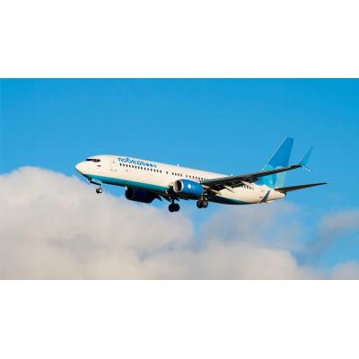 На высоте: сеть ресторанов «Теремок» и авиакомпания «Победа» проведут «Блинный рейс»