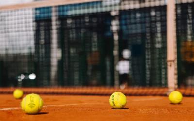 Реализован падел-центр в Лужниках: проект бюро «ДримФорм»