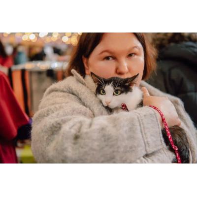 Camelion поддержал юбилейный фестиваль WOOF в Москве