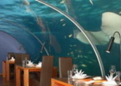 В Катаре появится отель под водой