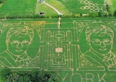 Фермер создал лабиринт на своем поле в виде портрета Гарри Поттера