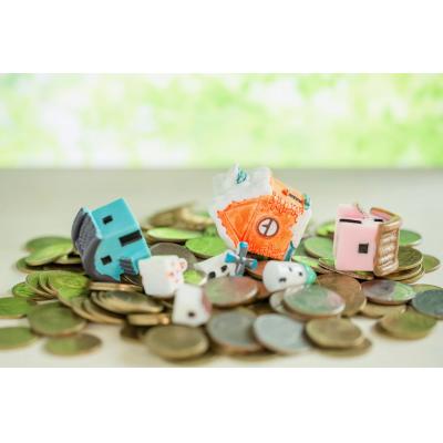 Более 40 тысяч участников и 59 городов: финансовой игре Everia Life исполнилось 10 лет