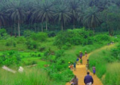 Сьерра-Леоне приглашает иностранцев посетить новый национальный парк