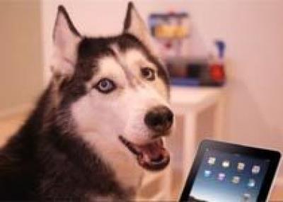 Новое приложение Top Dog для iPad от Hotels.com