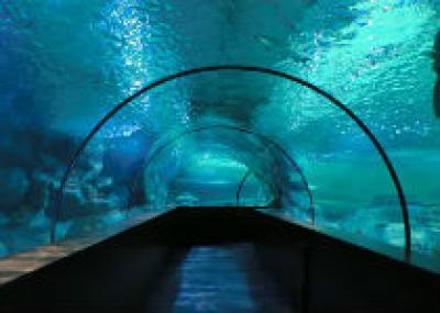 Гигантский аквариум откроется в Анталье