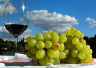 В Армении пройдет фестиваль вина