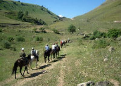В Ингушетии начнут действовать конные маршруты