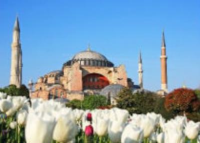 В Стамбуле откроют центр цветов
