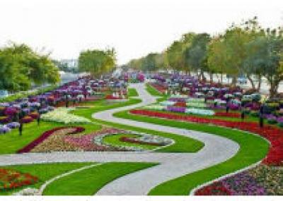 В Дубае для туристов открылся великолепный сад