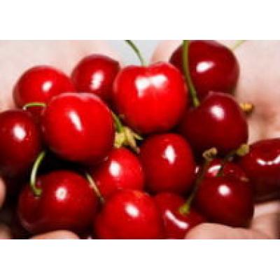 Полезные лечебные свойства вишни