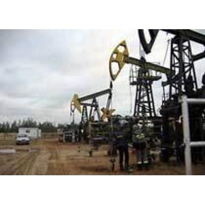 «ЛукБелОйл» открыл новое нефтяное месторождение в Саратовской обл.