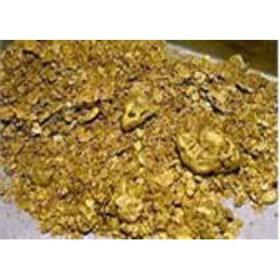 Началась геологоразведка месторождения золота «Игуменовское»