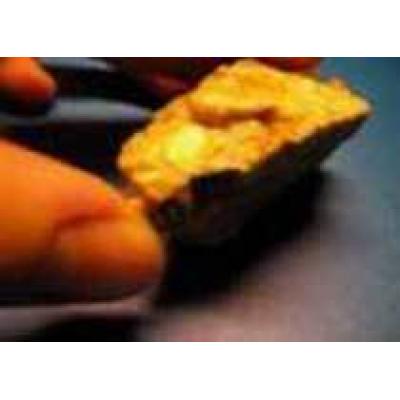 Горняки «Сусуманзолото» на 260 килограмм перевыполнили годовой план по добыче золота
