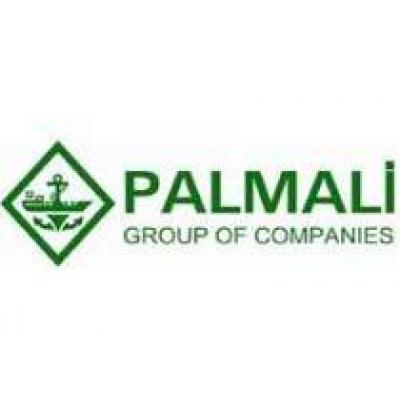 ГК «Палмали» планирует провести тендер на строительство серии танкеров