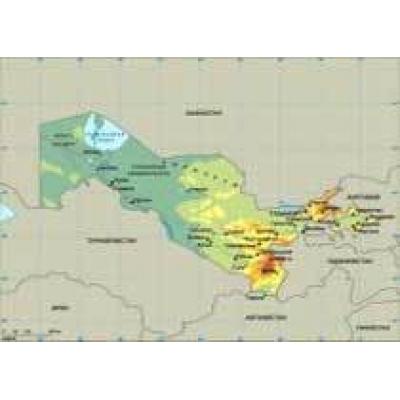 Узбекистан ищет инвестора для медно-молибденового месторождения
