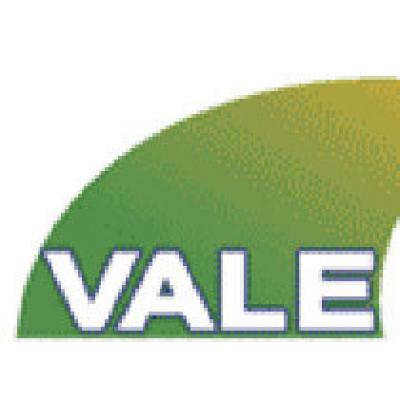 Vale увеличит производство в 2010 году