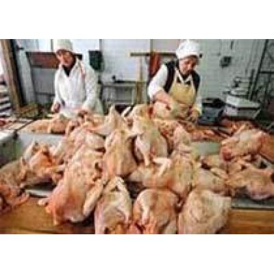 Турция будет поставлять куриное мясо в Россию