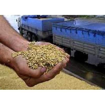 Россия объявила цены на зерно при госзакупке в 2010 году