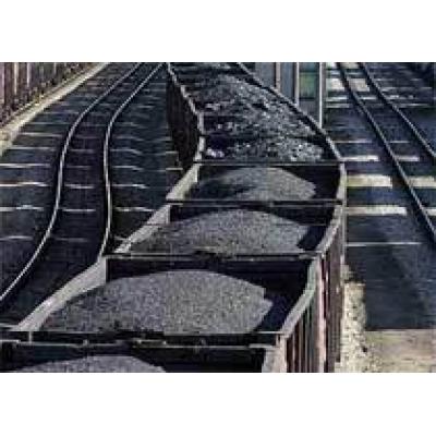 Россия обнулит импортные пошлины на жирный уголь
