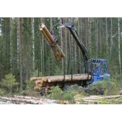 В Казани обсудили проблемы лесопромышленного комплекса