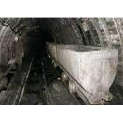 Индийская NMDC планирует купить 4 угольных шахты у Михаила Прохорова