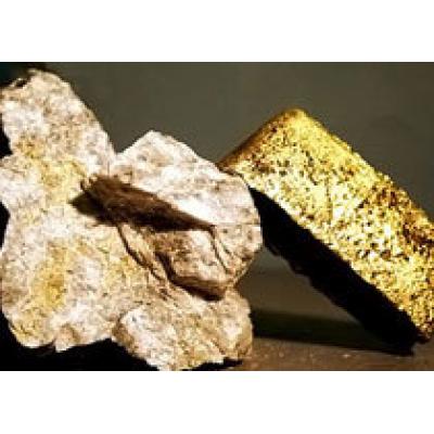 Продан участок в Иркутской области с потенциалом 30 тонн рудного золота