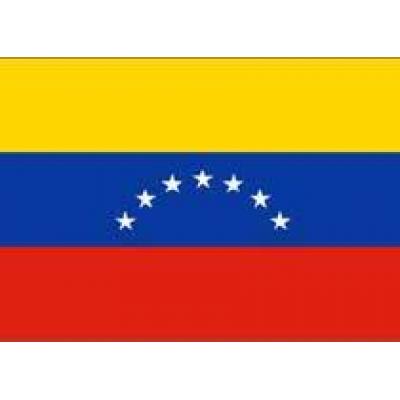 «Газпромбанк» может помочь «Интер РАО ЕЭС» в строительстве электростанции в Венесуэле