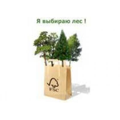 Экологические аспекты производства, потребления и утилизации продукции из древесины и бумаги: глобальные тренды и ситуация в России