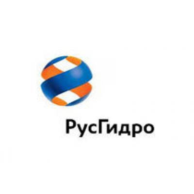 «РусГидро» потратила на новый логотип 2 миллиона рублей