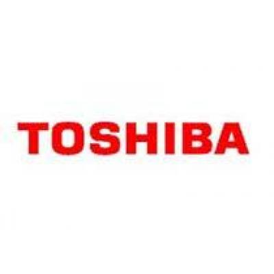 Toshiba сократит производство чипов и будет закупать их у Samsung