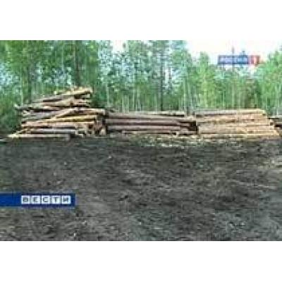 Действие пониженных пошлин на лес - кругляк продлено на 2011 год