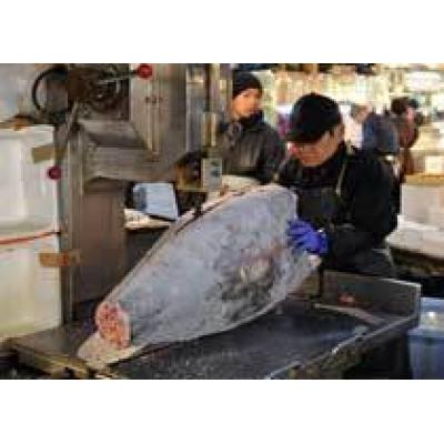 Россия запретит поставки рыбы с 200 предприятий Японии