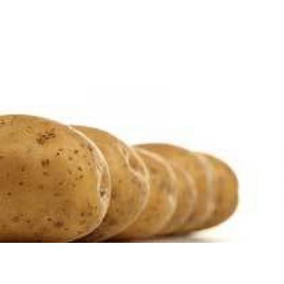 Таможенный союз снова ввел пошлины на импорт картошки и гречки