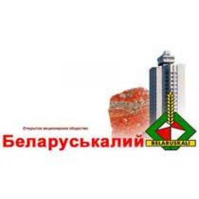 Белоруссия задумалась о продаже завода калийных удобрений