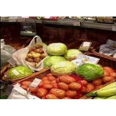 Минсельхоз: внутренний рынок не пострадает от запрета на поставки овощей из ЕС