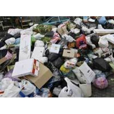 «Единой России» отказали в монополии на рынке утилизации мусора