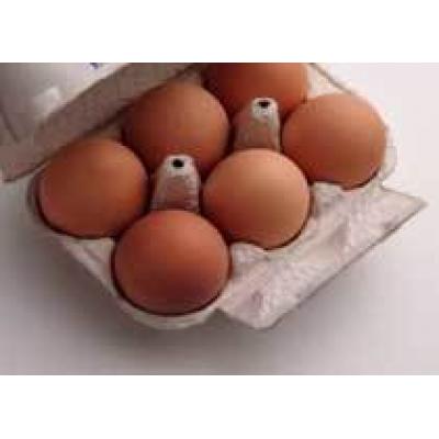 Рынок потребительской тары для яиц меняется в пользу пластика