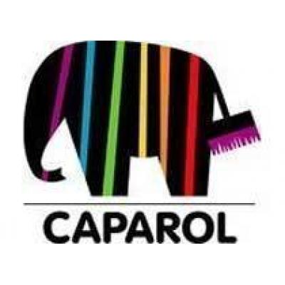 Caparol установила новую линию упаковки на подмосковном заводе