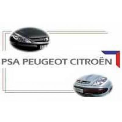 PSA Peugeot Citroen `отписался` от Нижнего