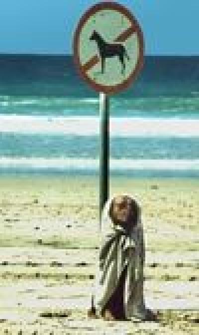 Специальный пляж для собак откроют в Риге