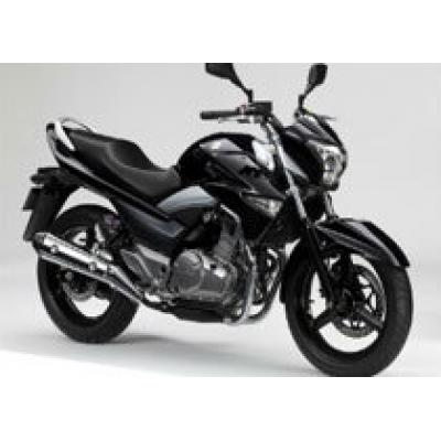 Японский бренд Suzuki представил новый мотоцикл Inazuma 250