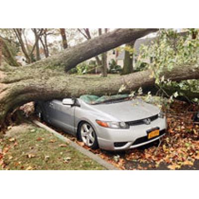 В США из-за урагана «Сэнди» уничтожат 15 тысяч машин