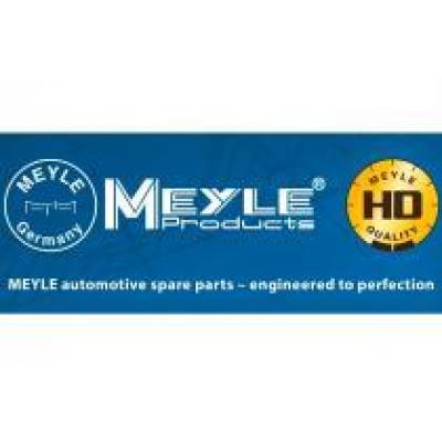 Тестер MEYLE позволяет быстро и качественно выявлять износ деталей рулевой системы и подвески