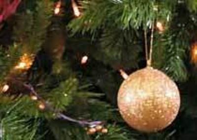 Фестиваль рождественских деревьев в Женеве