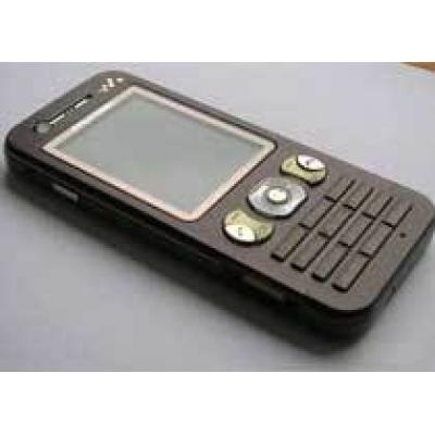 `Живые` фотографии Sony Ericsson W890