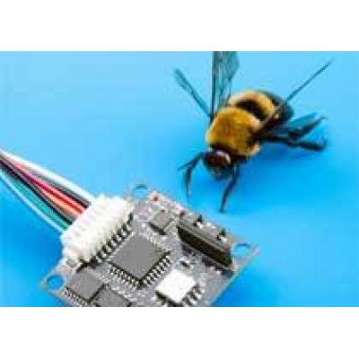 Поведение пчёл поможет координировать работу интернет-серверов