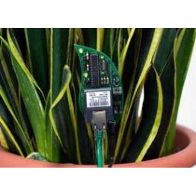 Botanicalls Kit – теперь любимый кактус может `позвонить` вам на мобильник