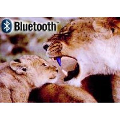Новый скоростной стандарт Bluetooth 3.0 анонсируют 21 апреля