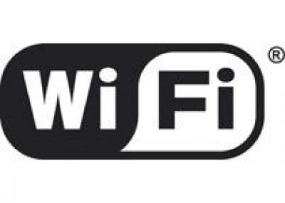 Экскурсии в Кунсткамере можно будет совершать с помощью Wi-Fi