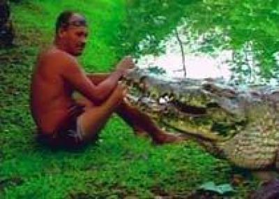 Ручной крокодил - достопримечательность Коста-Рики